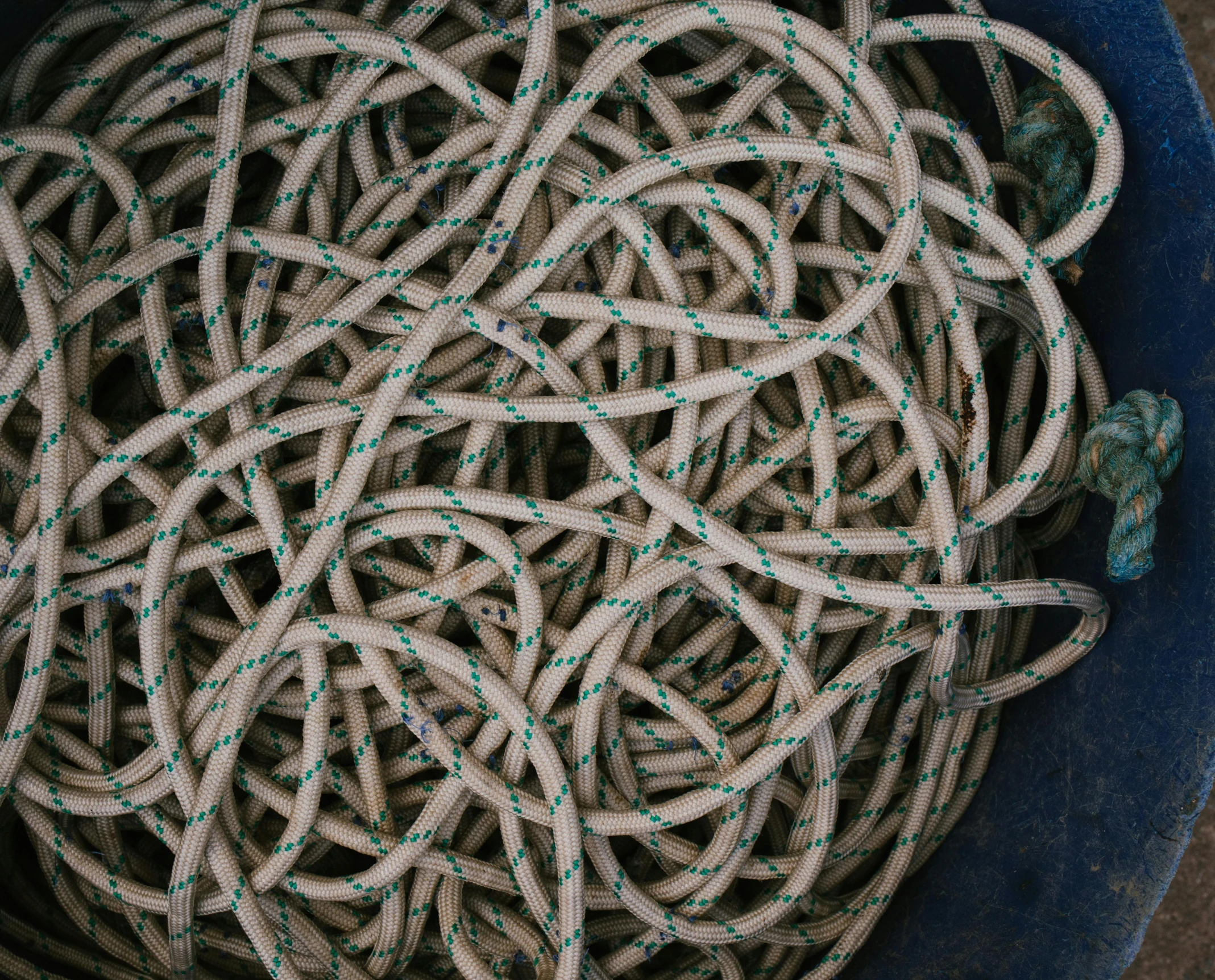 a blue bowl holding a round of rope