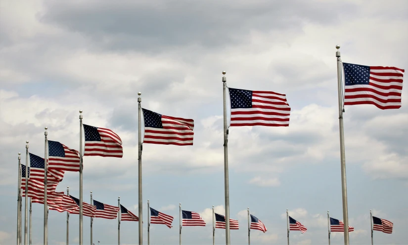 several american flags blowing in the wind