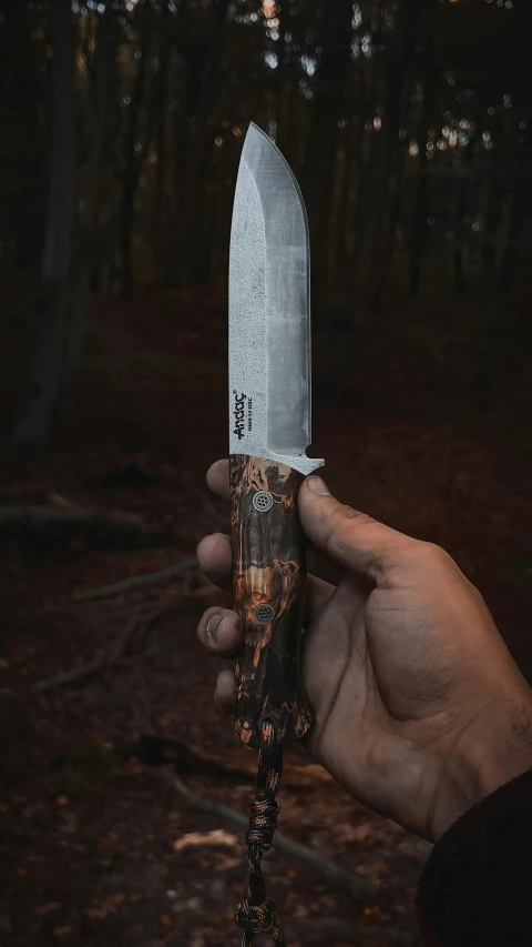 a hand holding a knife with a wooden handle