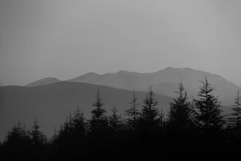 a black and white po with trees, mountains and sky