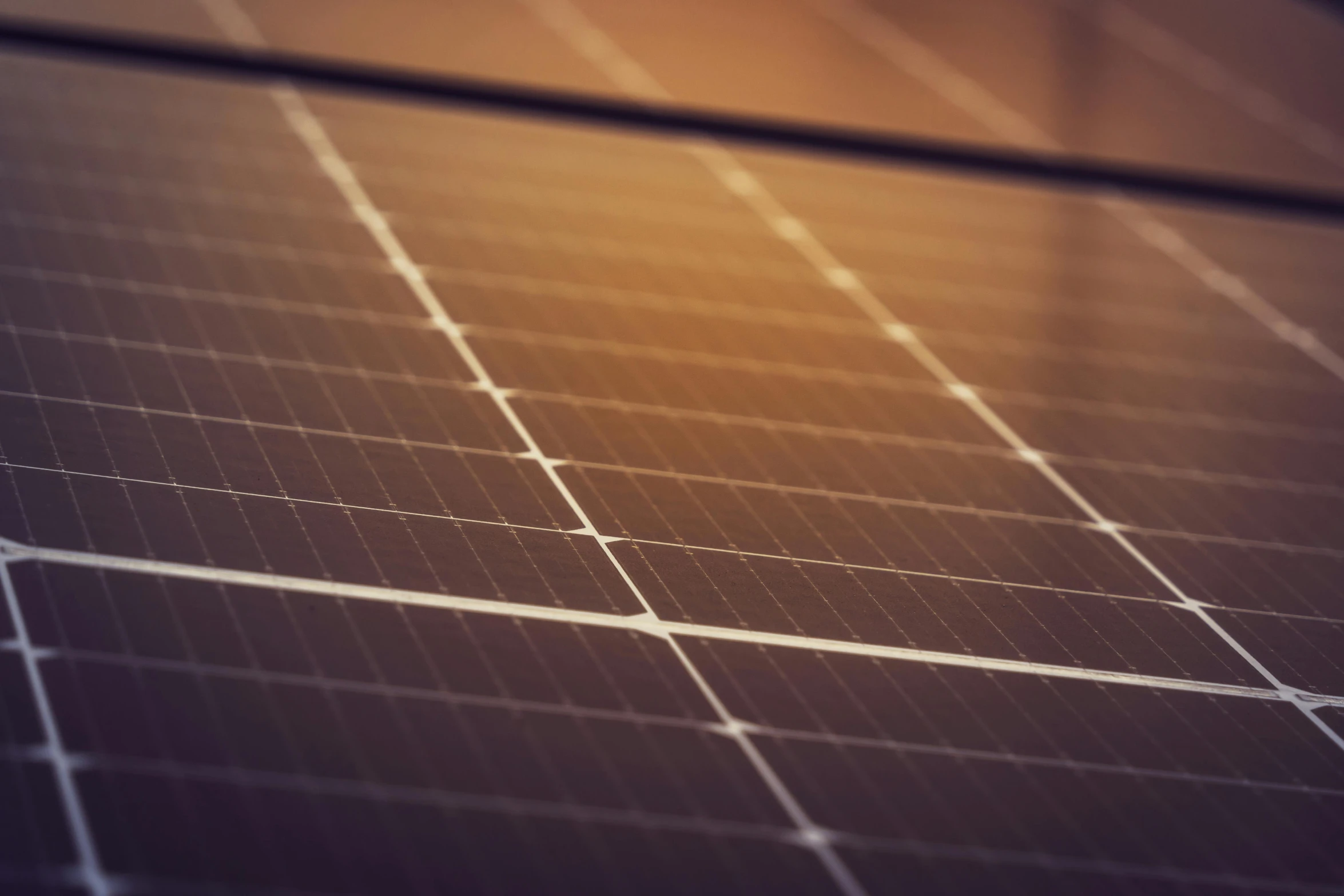 an array of rows of solar panels is shown