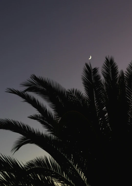 a lone moon is seen in a gray sky