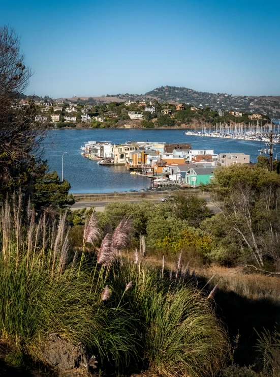 a river view from a hill overlooking a town