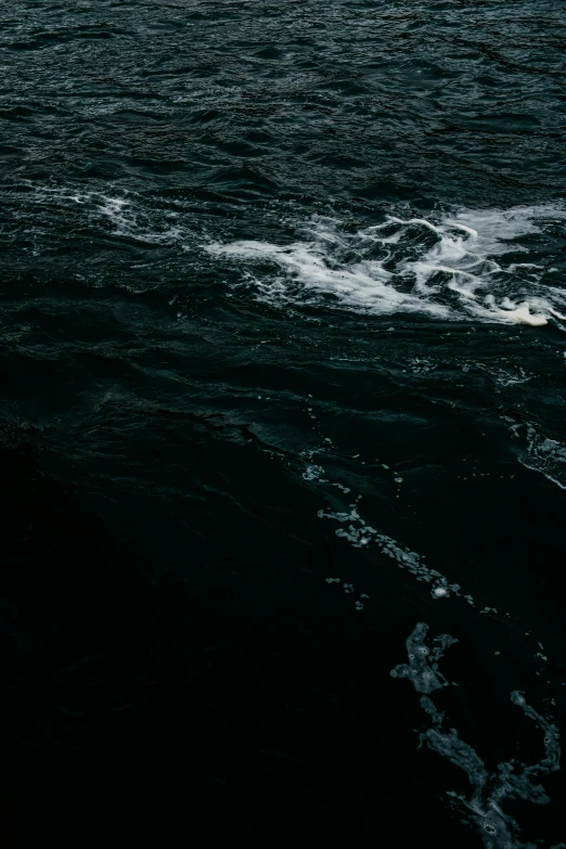 a bird is sitting on a rock in the middle of an ocean