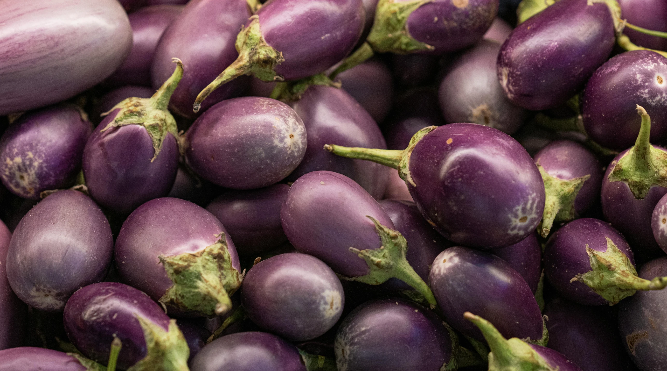 purple eggplants stacked on top of each other