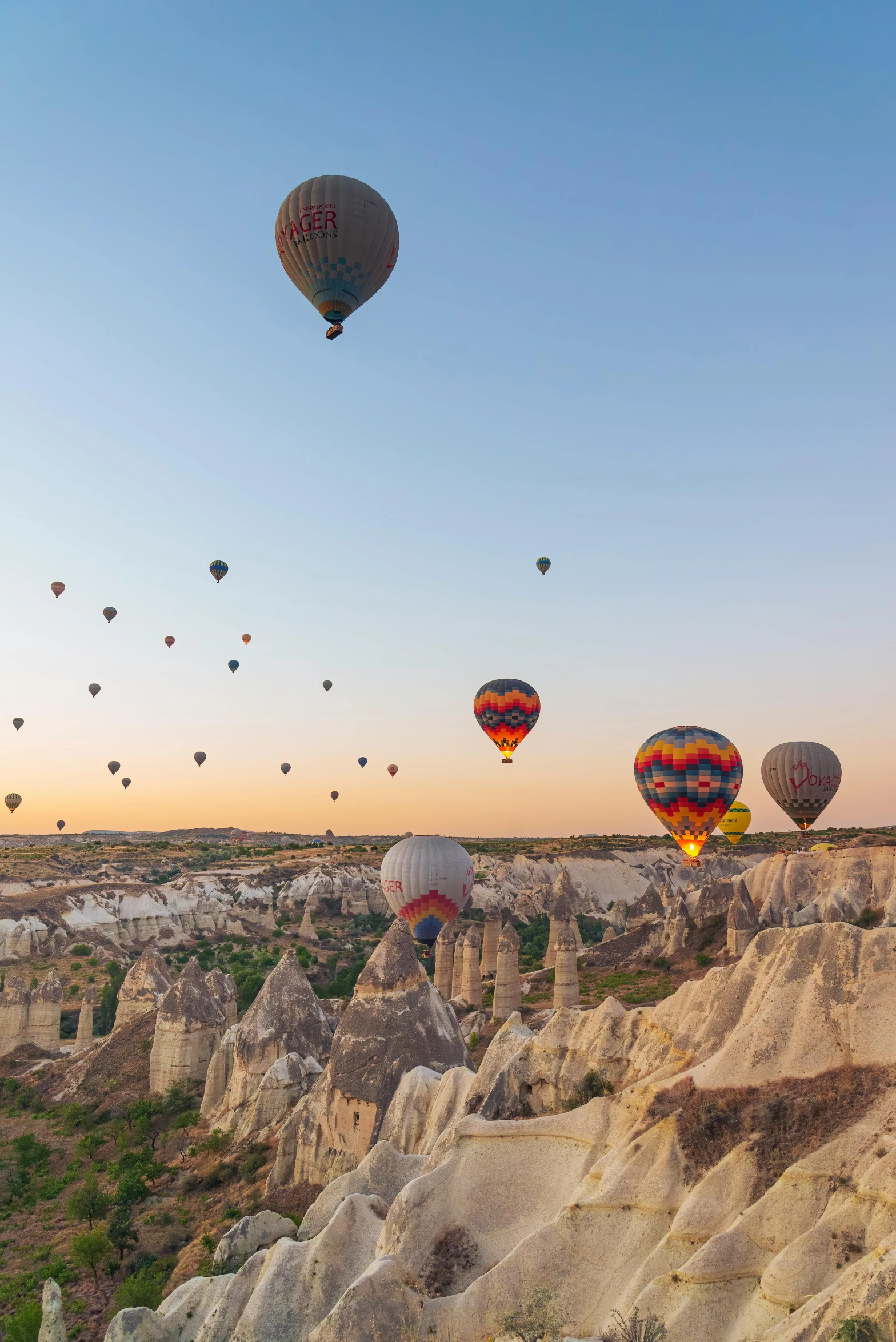 a number of  air balloons flying through the sky