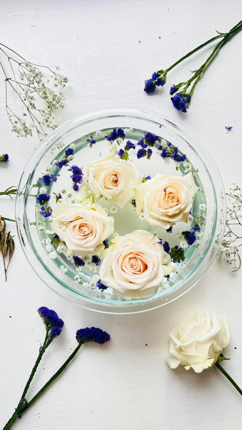 five white and lavender roses in a clear bowl