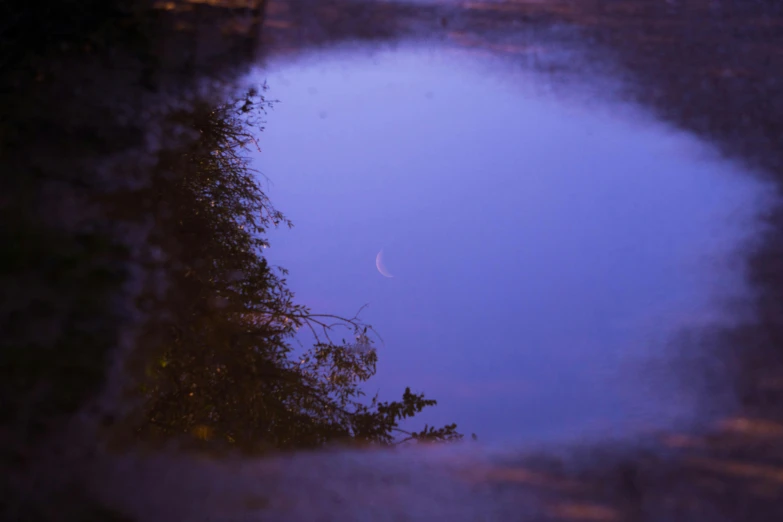 reflection of the tree in the dle