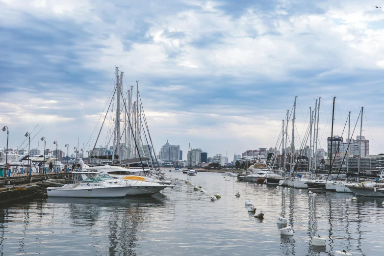 some white boats in the water and people and buildings