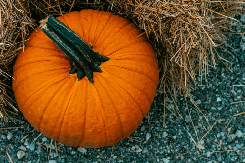 an orange pumpkin in some hay laying on the ground