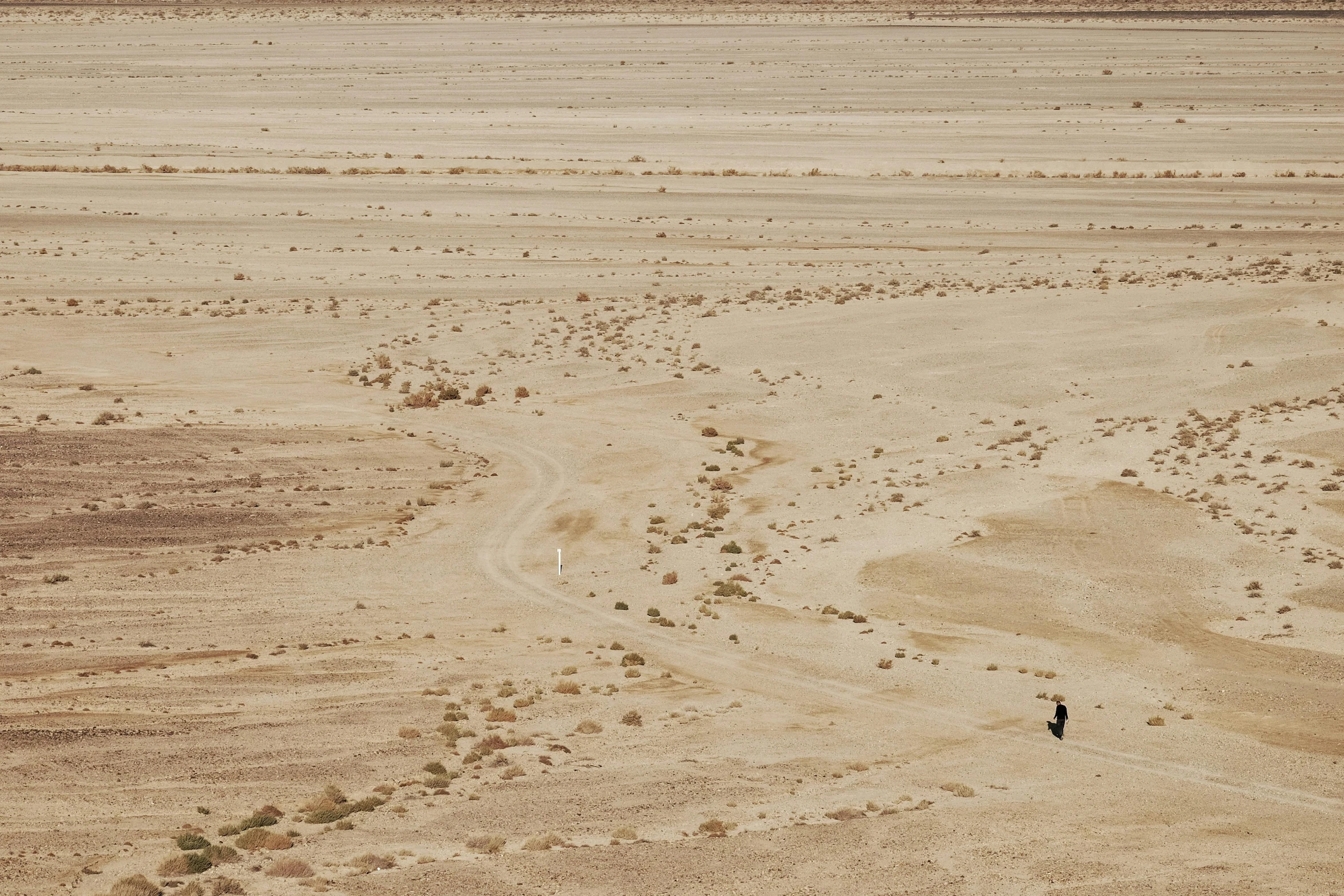 a lone man with a buggy and horse grazing in the desert