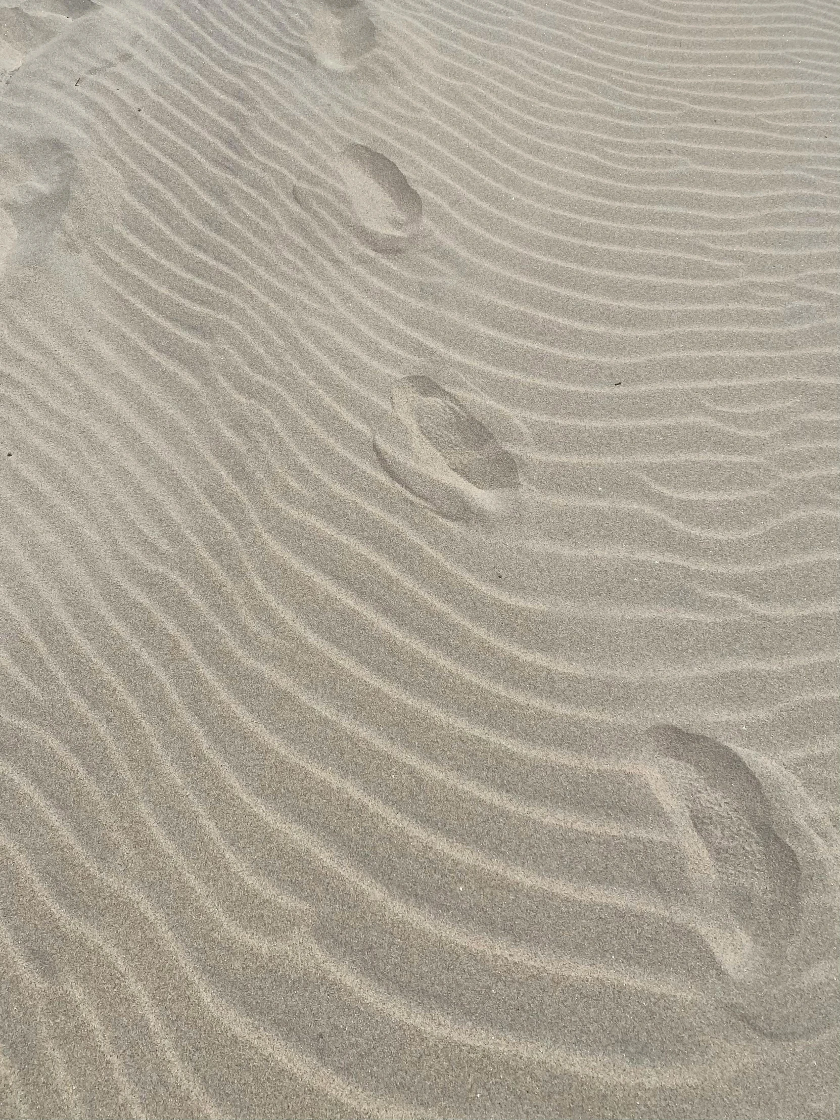 the wavy sandy beach has several footprints