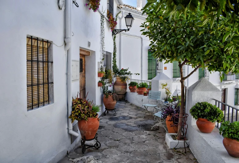 an alley in a small town with potted plants