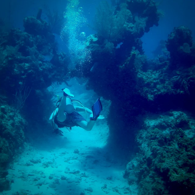 a scuba diver is diving into the water