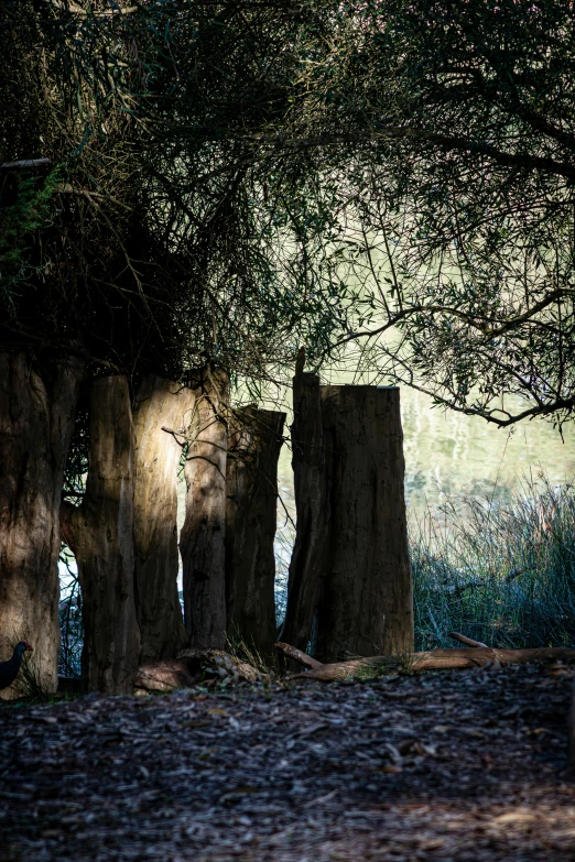 a wooden structure sitting next to a lush green forest