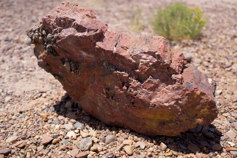 a piece of red rock with holes in the dirt