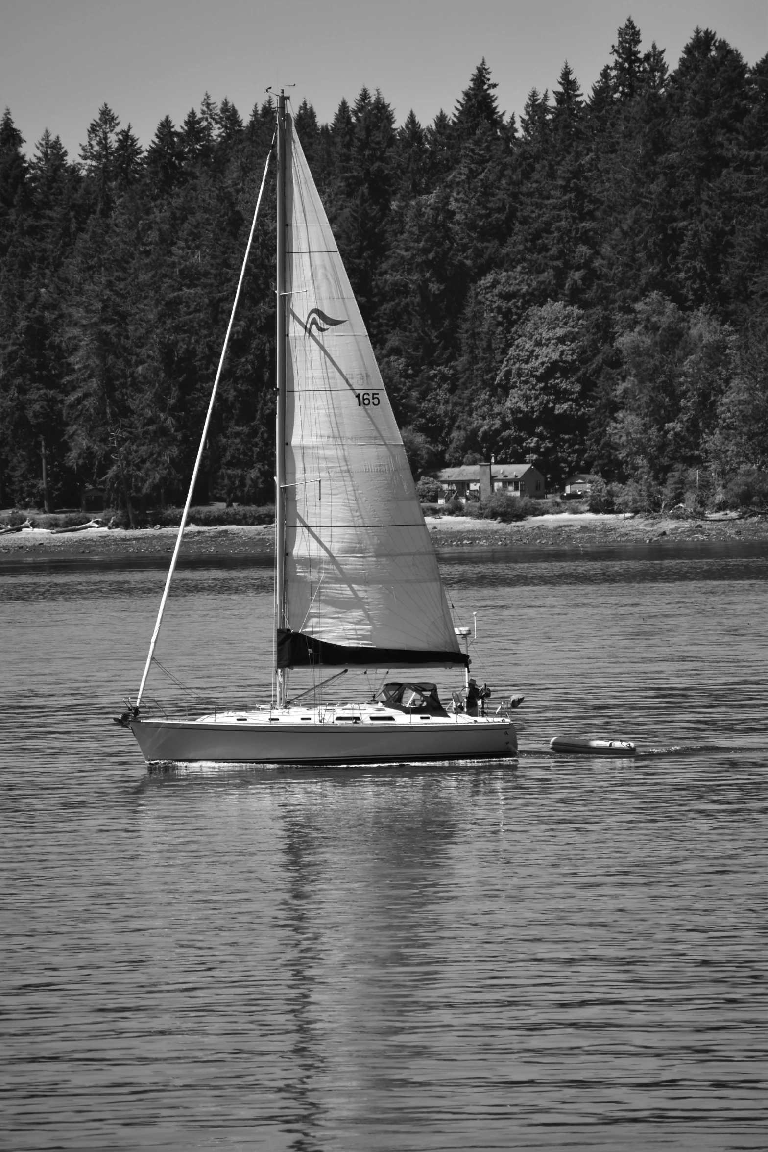 a sail boat on a large lake with trees in the background