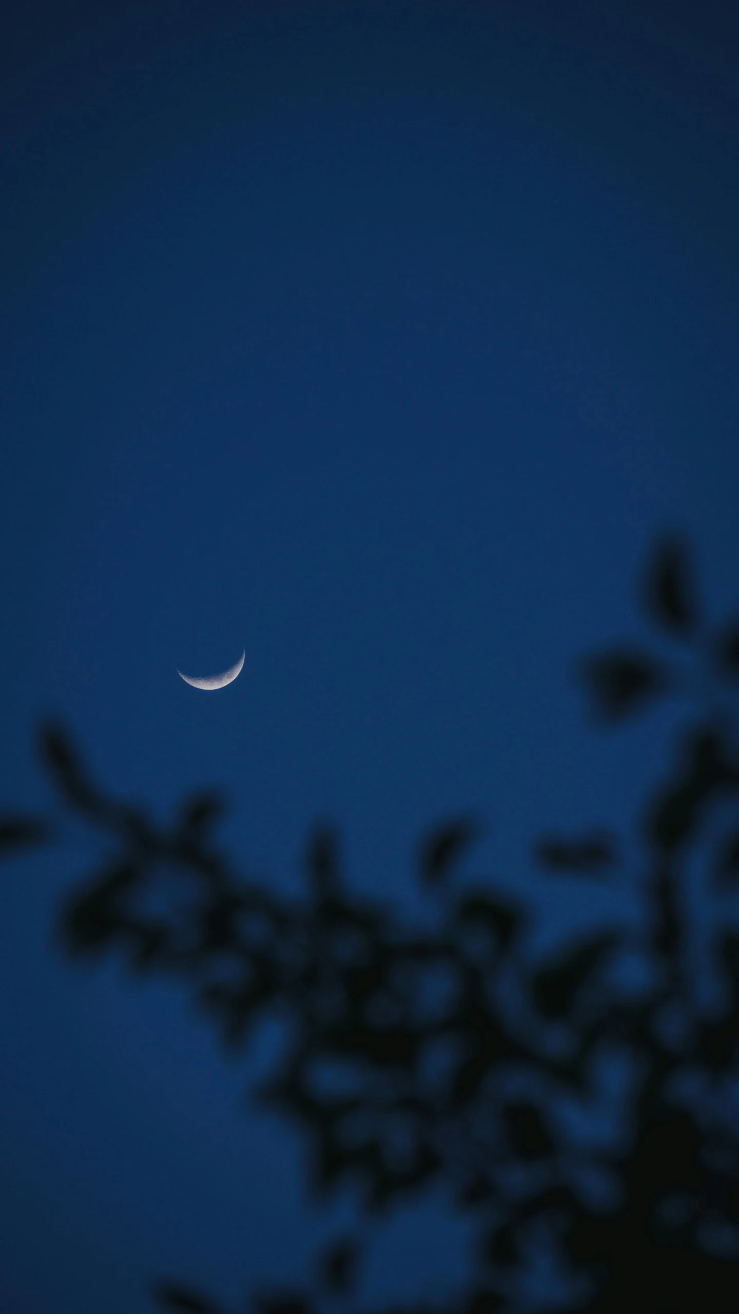 a crescent in the sky with the moon almost behind it