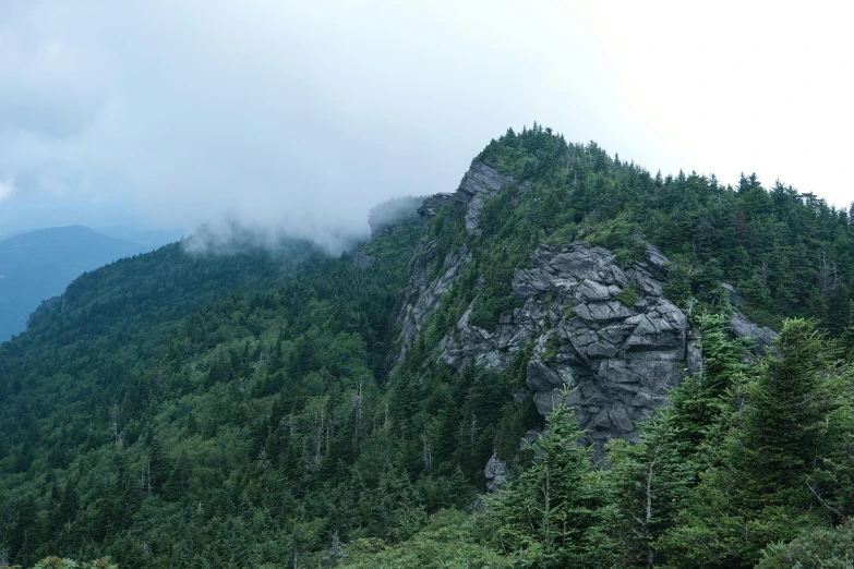 a mountain is surrounded by lush green trees