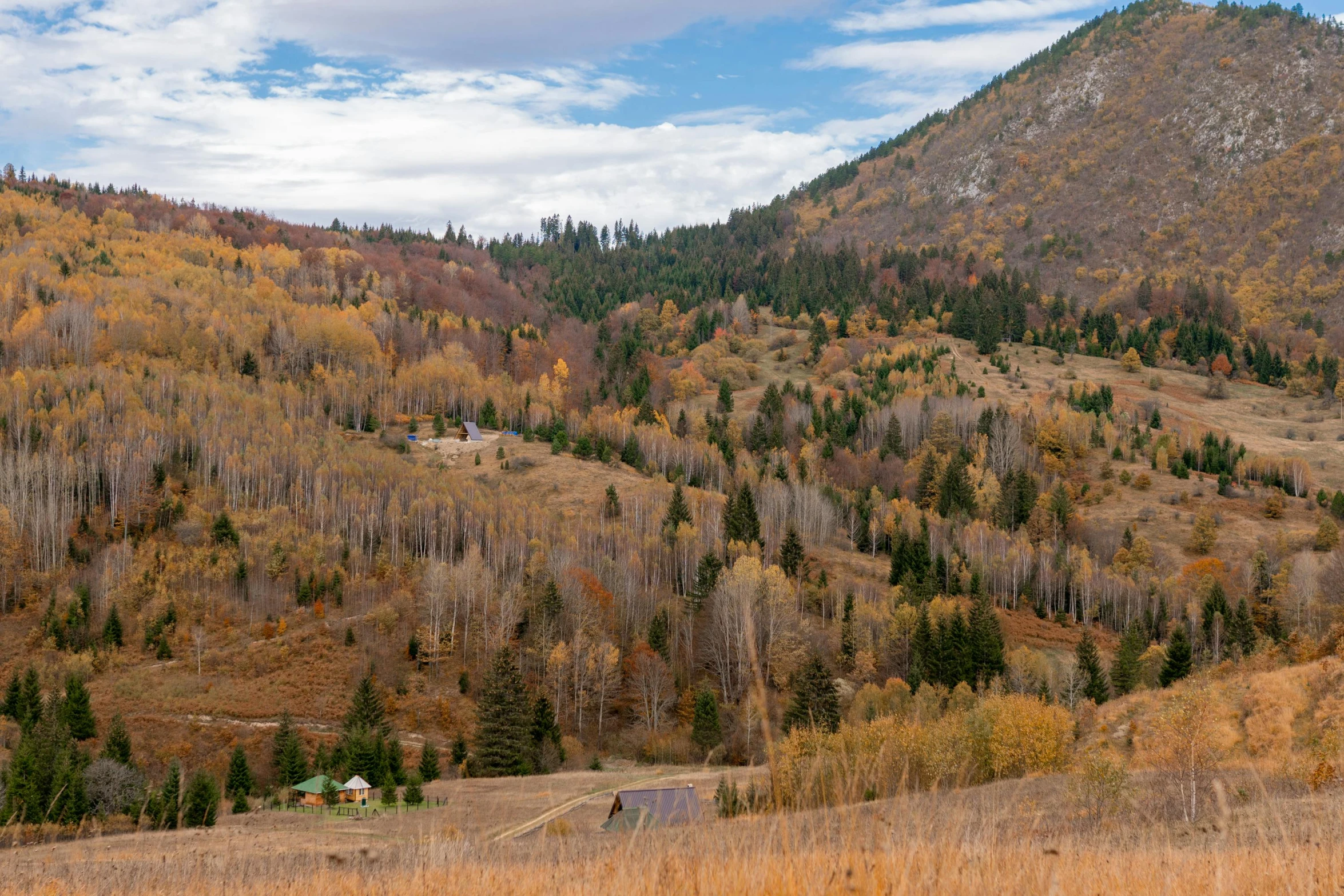 trees and hills in a mountainous area near an out building