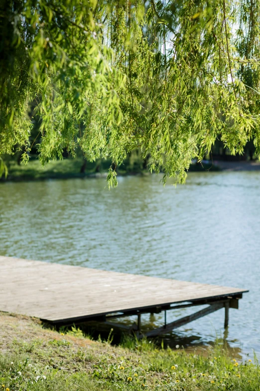 a dock sits under some tree limbs over a lake