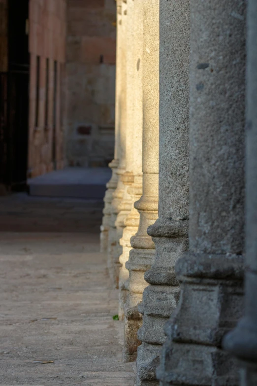 the image shows a cat standing on stone pillars