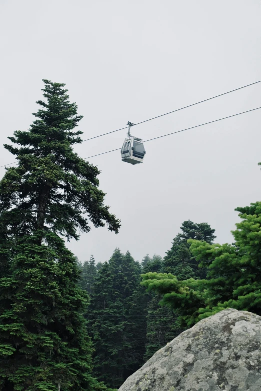 a ski lift sitting above the trees, on a cloudy day