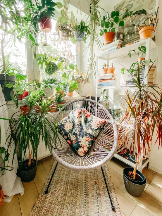 many houseplants in baskets sit on shelves near plants