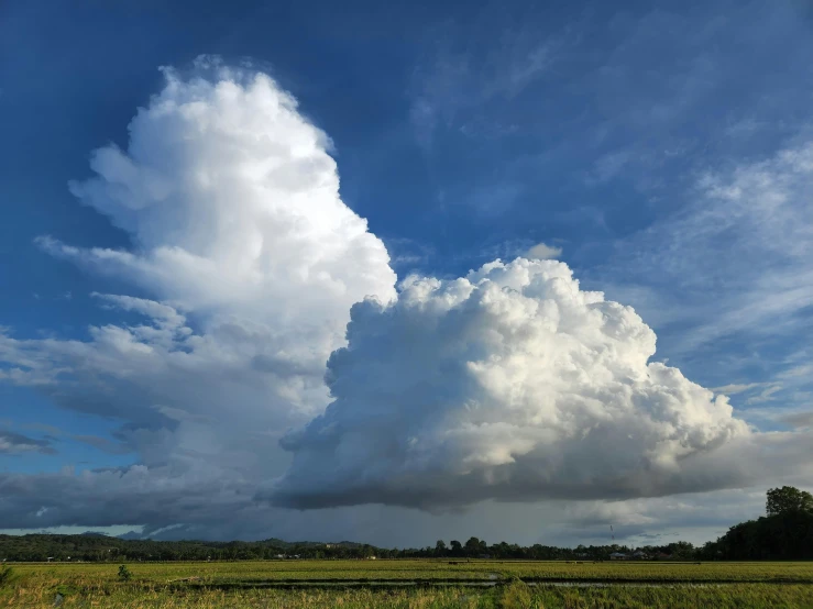 a huge cloud looms high over the field