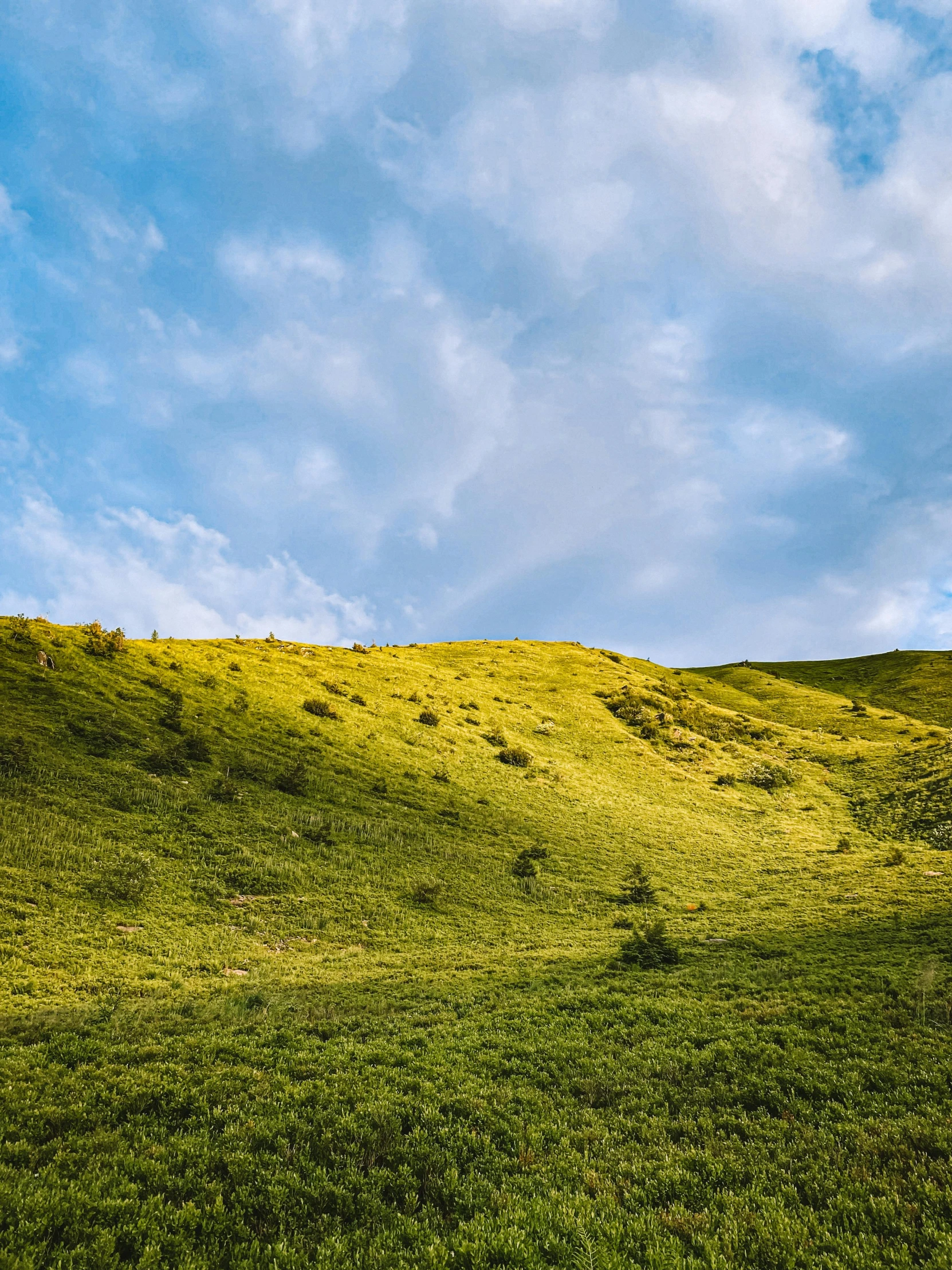 an airplane flies over a grassy hill