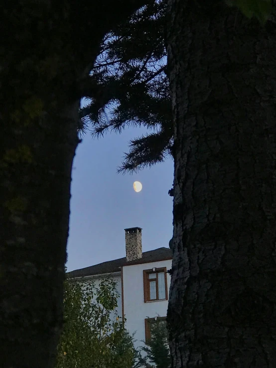 the moon setting over a white house next to a large tree