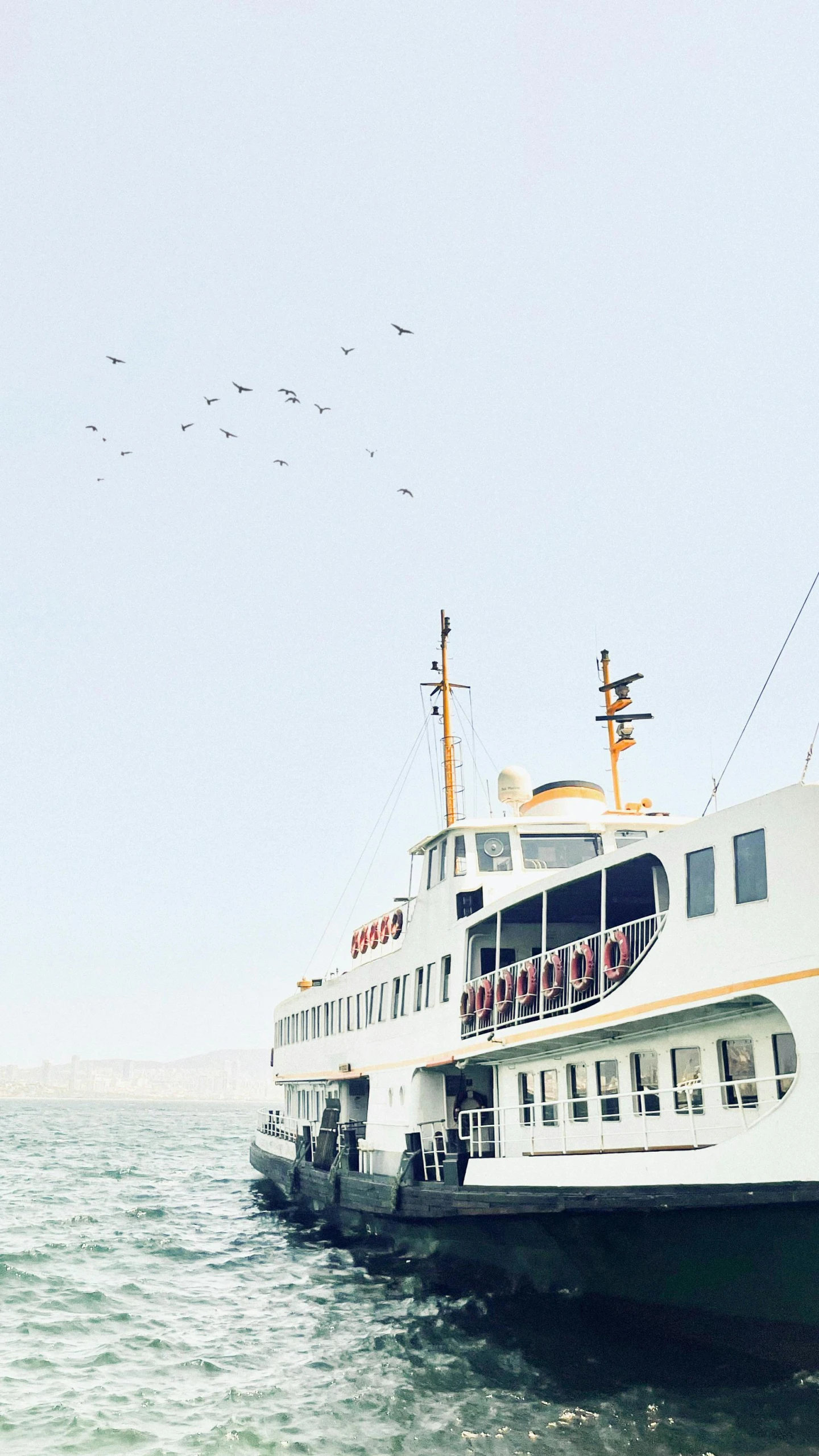 large passenger ferry sitting near the shore in the water