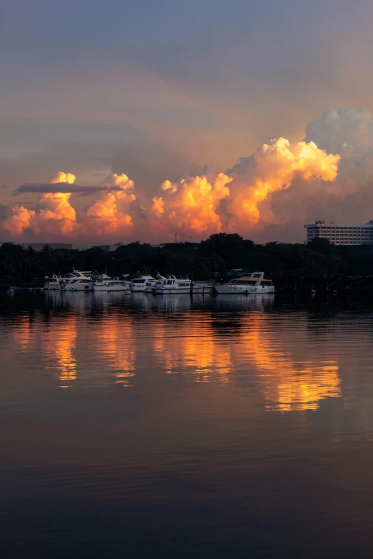 sunset over the water with many boats docked