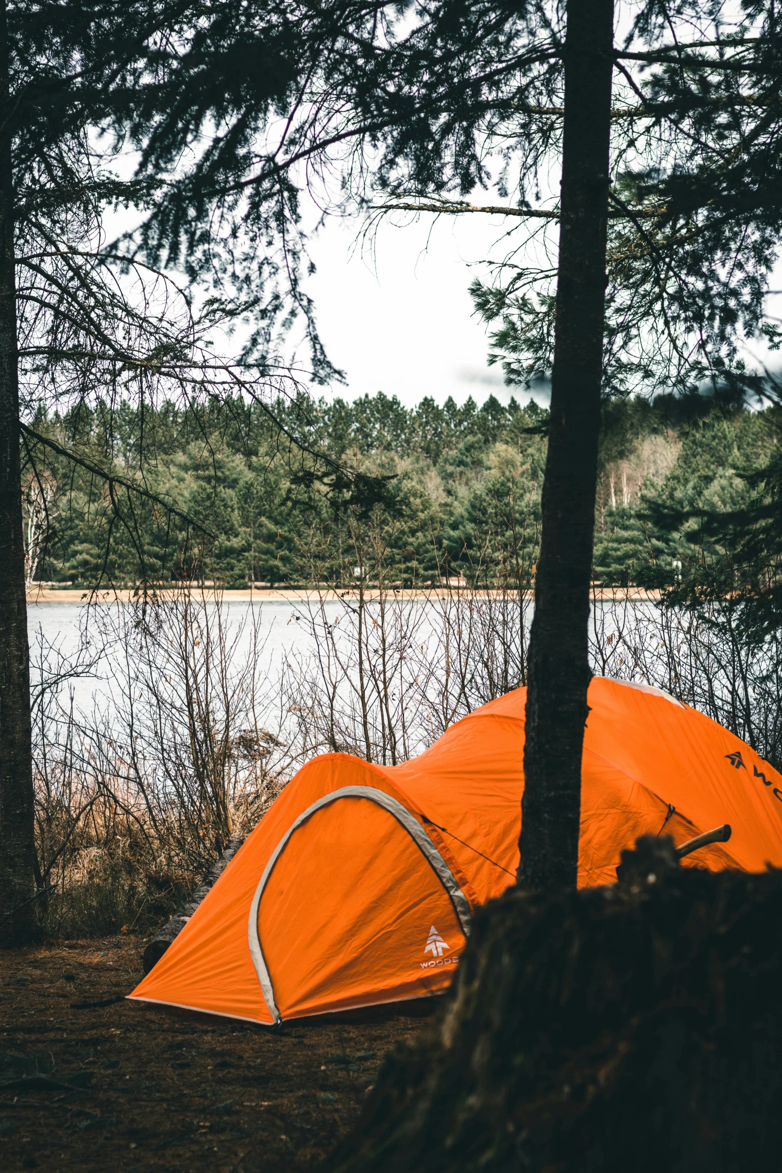 a tent that is by a pond that's in the woods