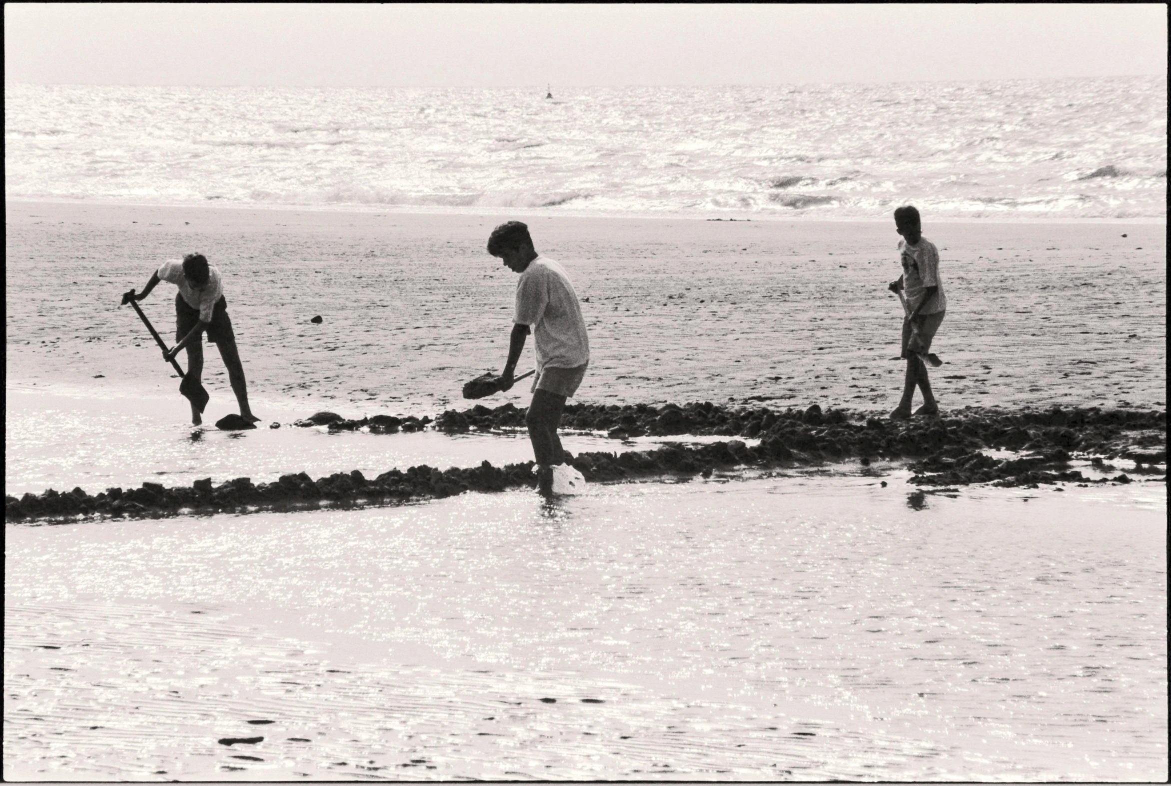 the two guys are cleaning up the beach