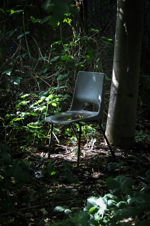 an empty chair sits in the middle of the woods