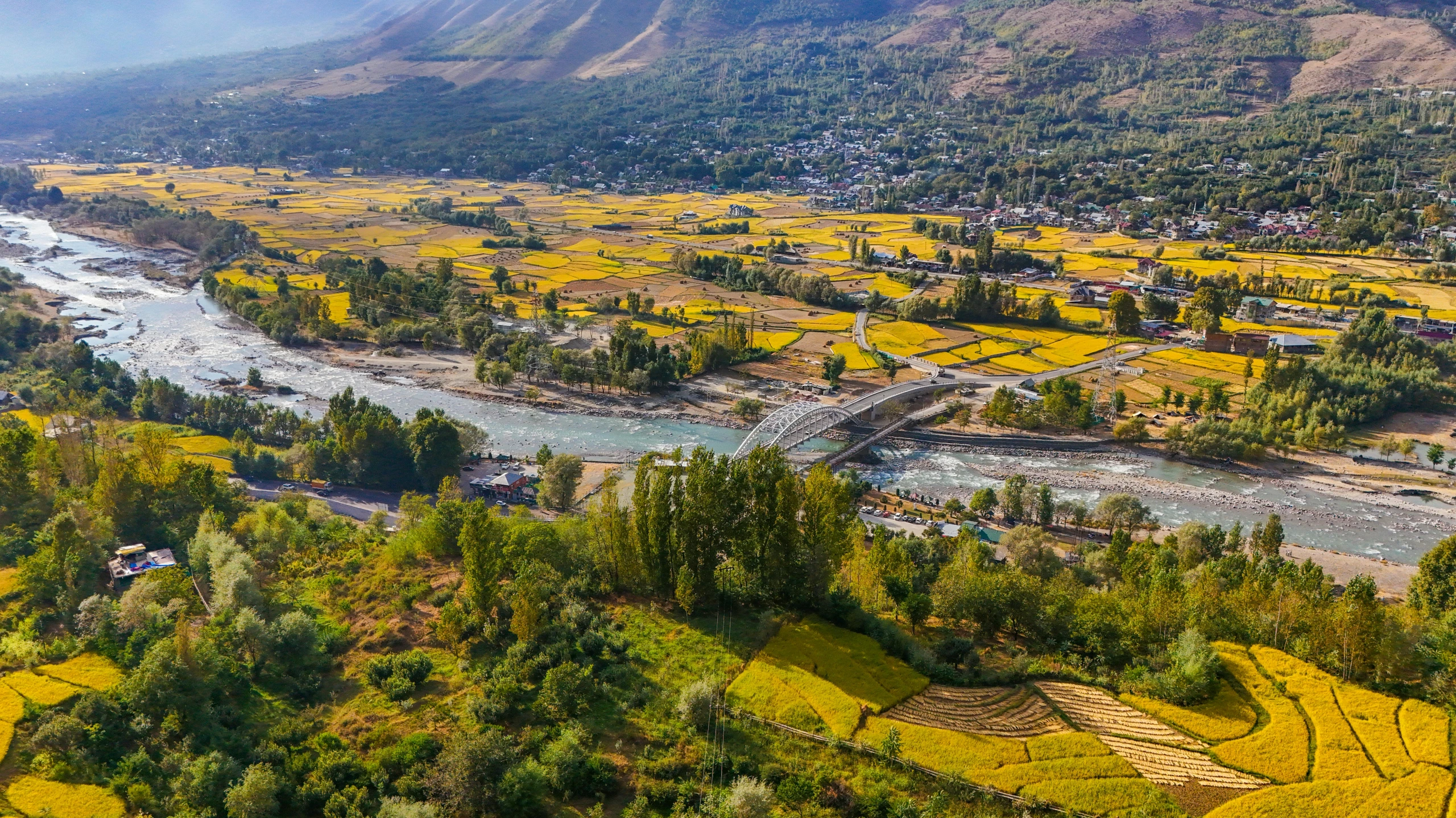 an aerial view of a valley surrounded by forest