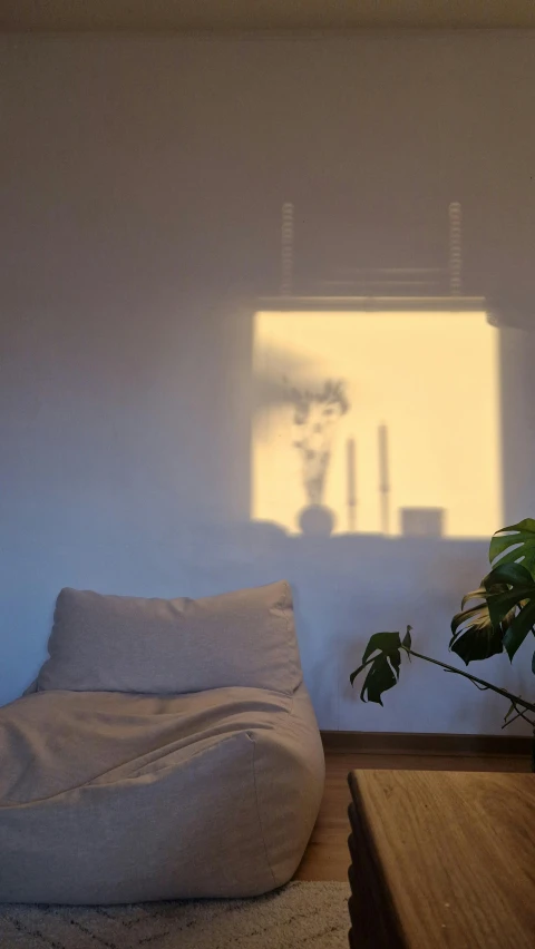 an image of a plant casts a shadow on the wall