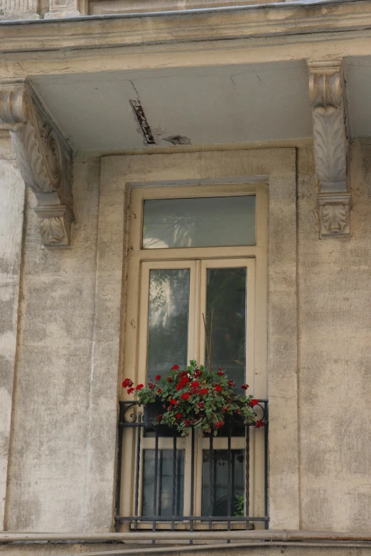 a red flowered window box on the corner of a building