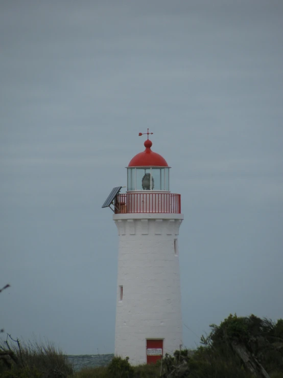 a lighthouse with the tower covered in birds