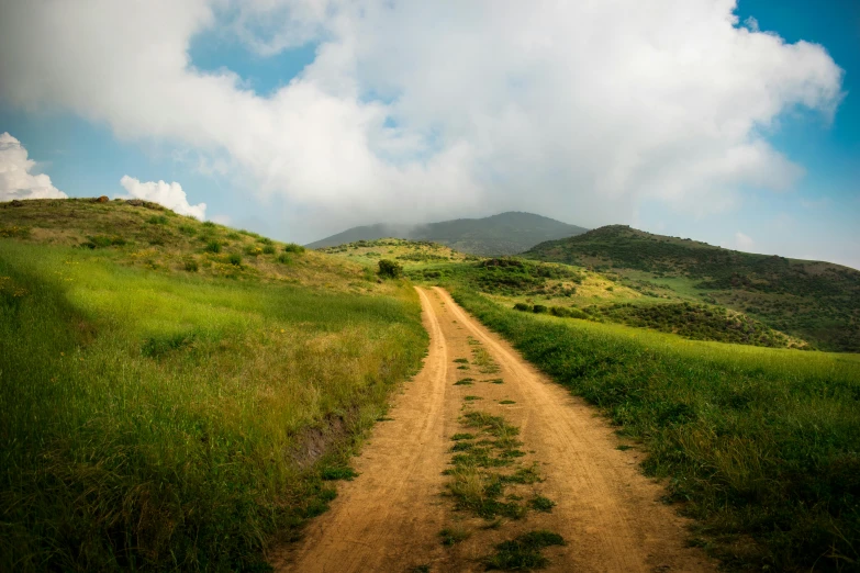 a dirt road going through a lush green field