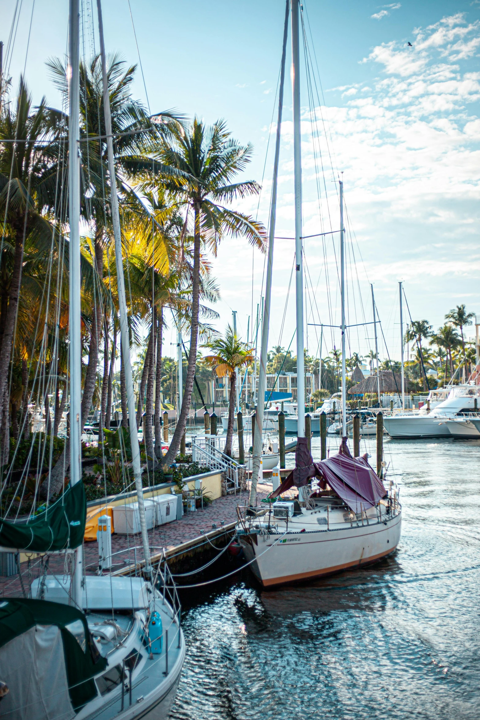 boats are docked and in the water near palm trees