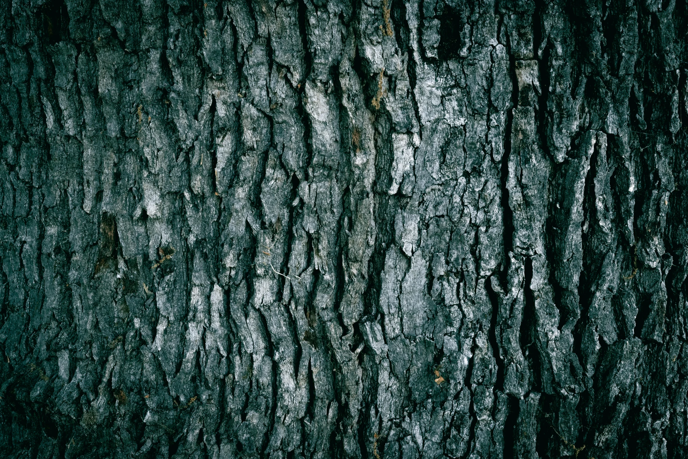 the texture of wood on top of another surface