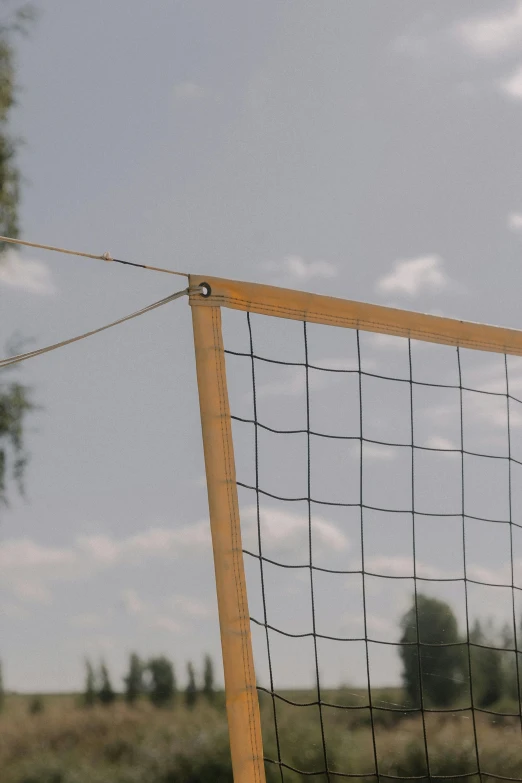 an old tennis net with a bird perched on the net