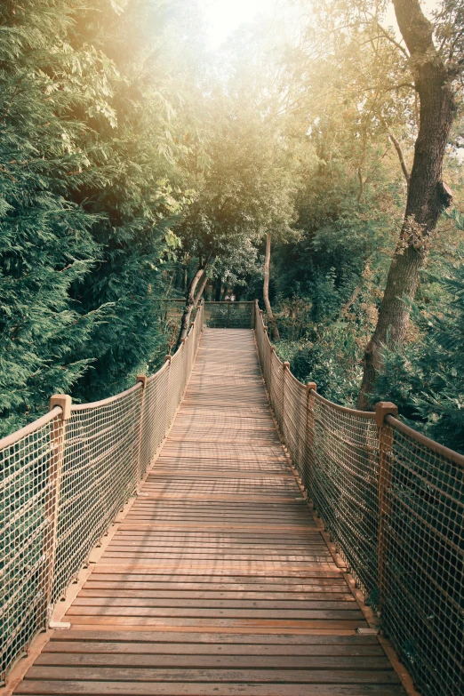 a small suspension bridge that is near some water