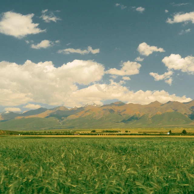 a beautiful picture taken on the road during a sunny day