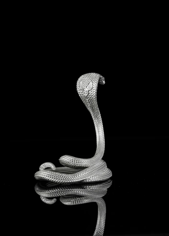 a snake shaped ring on top of a reflective surface