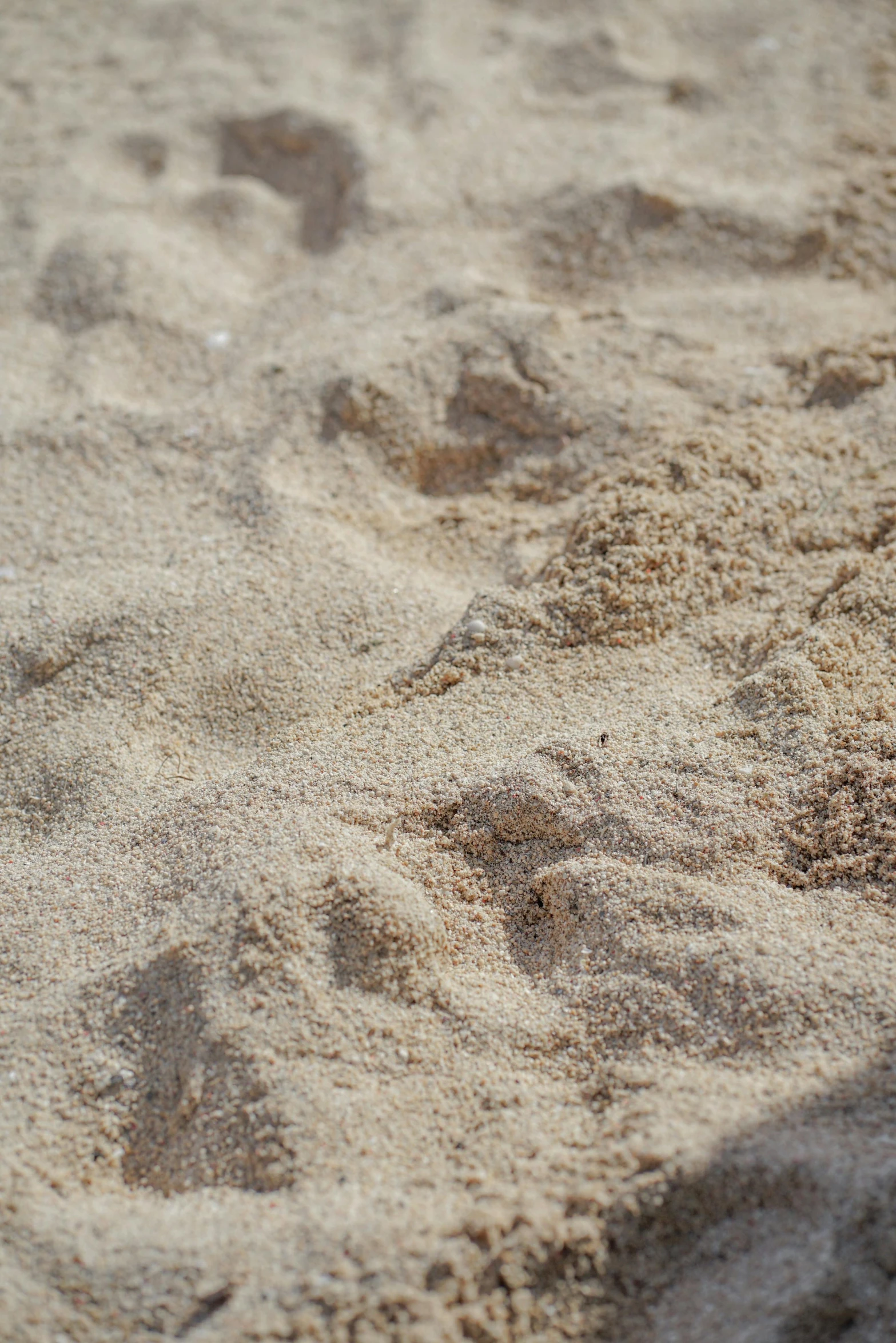 the sand looks like tiny tracks in the sand