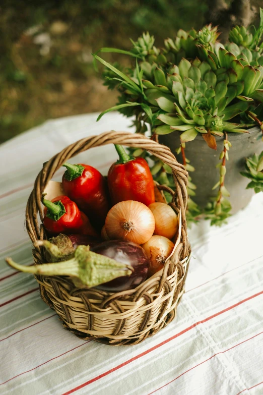 a basket of fresh tomatoes and mushrooms with basil