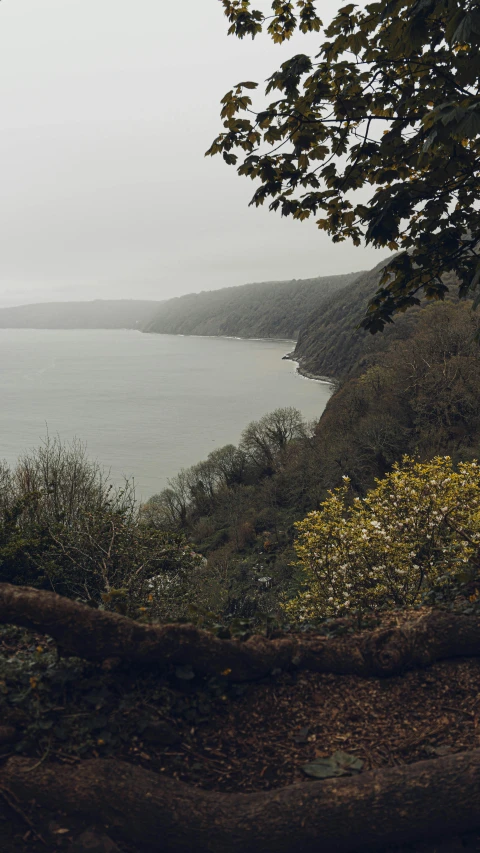 a bench sitting under trees next to a large body of water